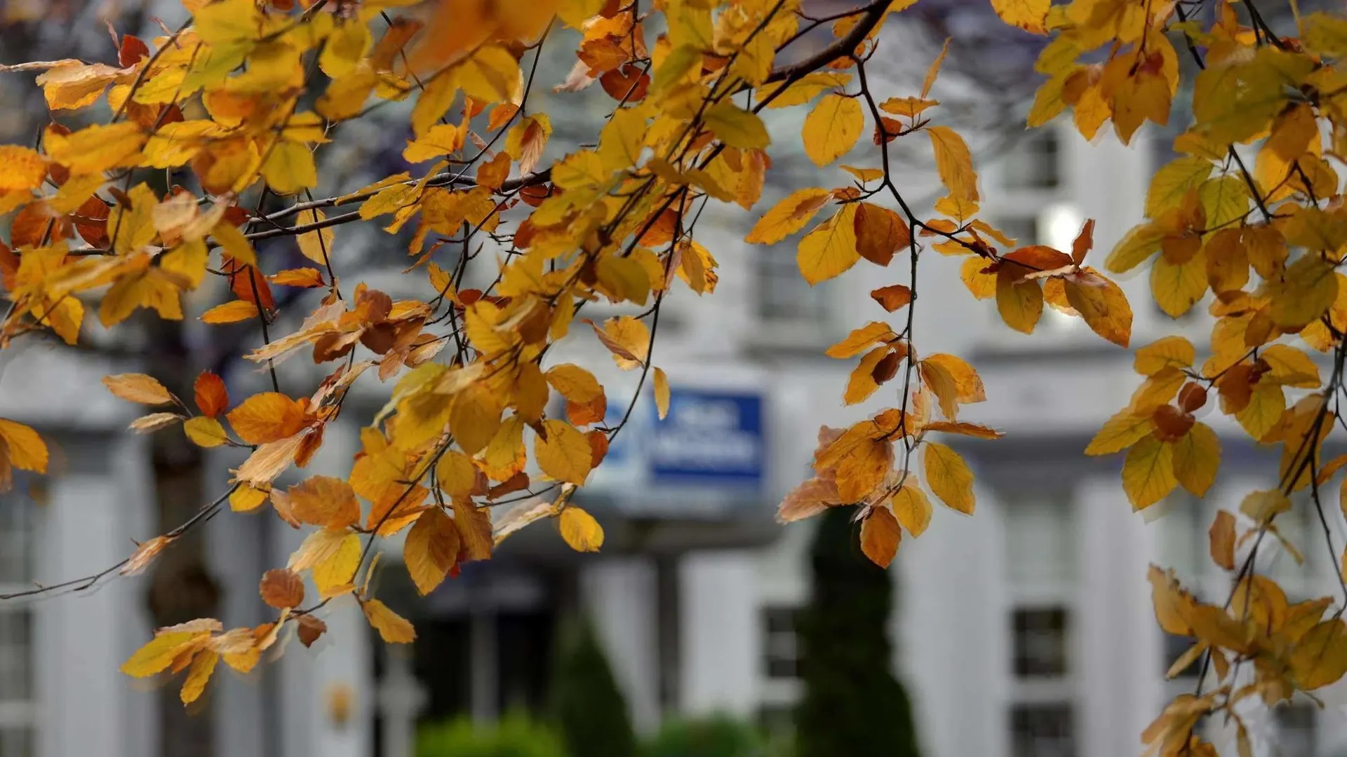 Best Western New Kent Hotel Newcastle upon Tyne United Kingdom